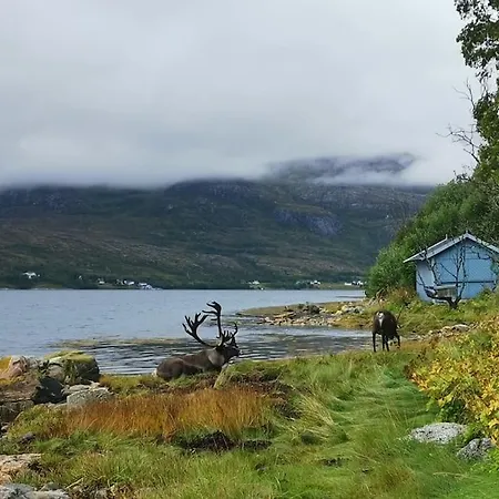 Cabin By The Fjord - Sauna - Midnight Sun Holiday home